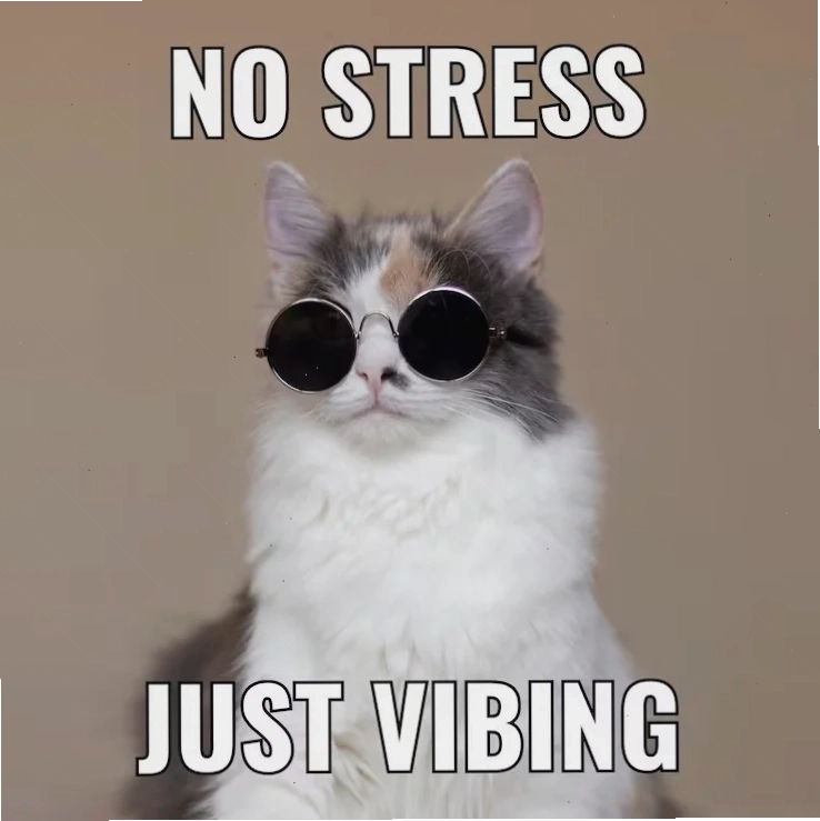 Một chú cún dễ thương cho bộ sưu tập cute memes