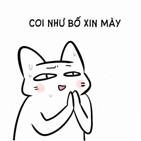 Một chú mèo chắp tay cầu xin meme đáng yêu