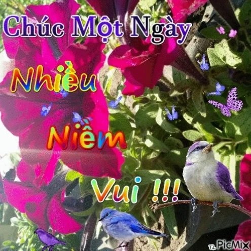 Một chú mèo ngáp ngủ kèm lời chúc một ngày tốt lành meme siêu hài