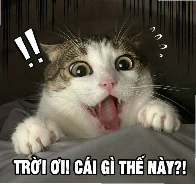 Một kiểu hoang đường trong ẩm thực