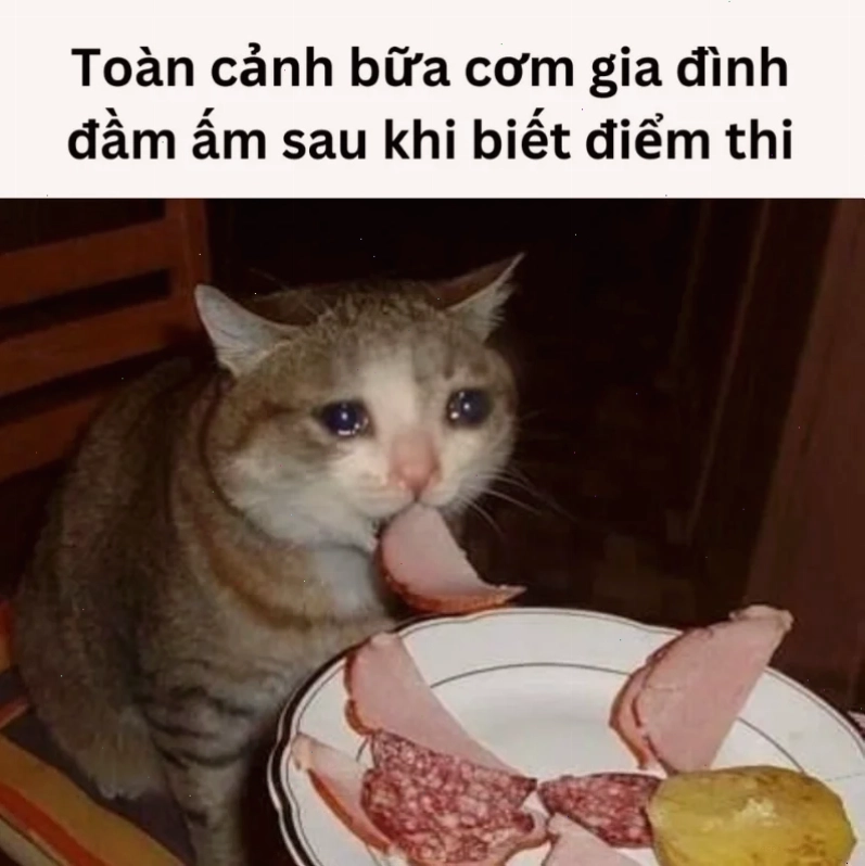 Một meme thi cử đầy thất thần