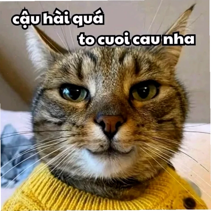 Một meme tieng viet độc lạ