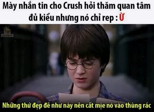 Một meme tieng viet đời sống