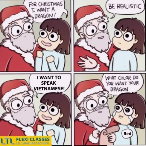 Một meme tieng viet hài