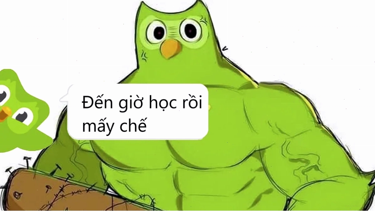 Một meme tieng viet hài hước
