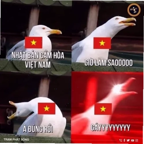 Một meme tieng viet lầy