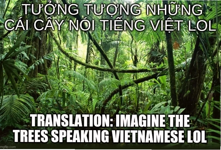 Một meme tieng viet mới