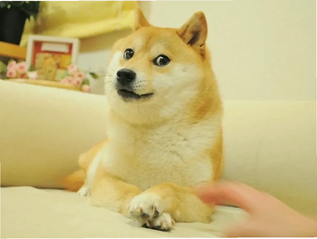 Một meme tieng viet vui vẻ
