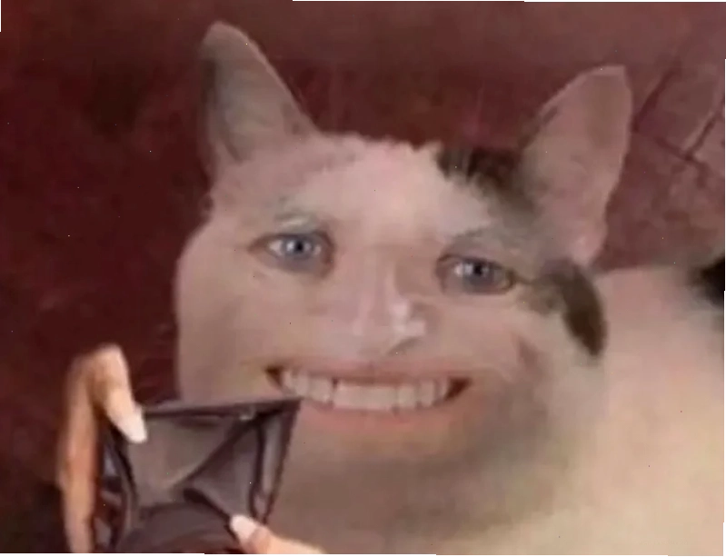một người ngơ ngác hỏi tiền đâu meme