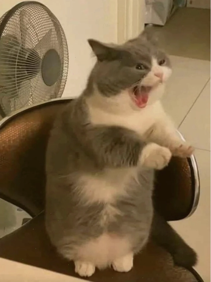 Một nhân vật trong meme hét đầy hài hước
