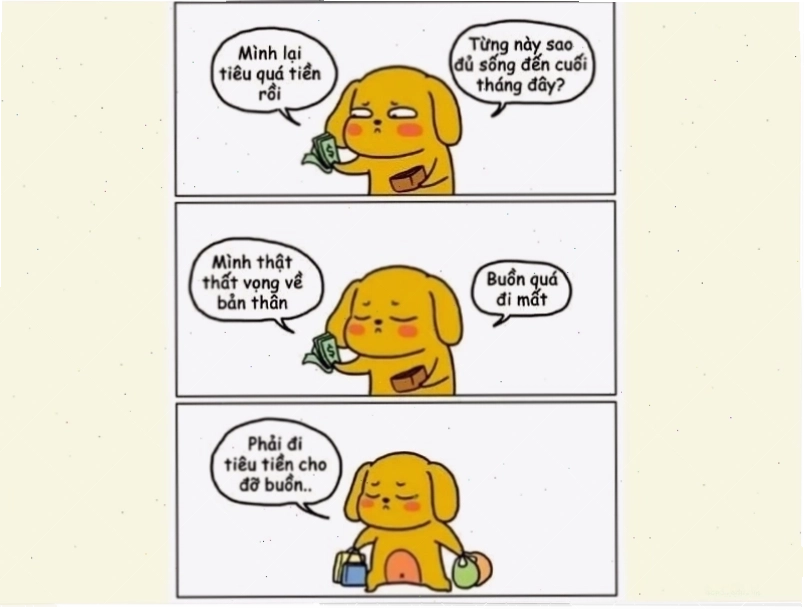 Một tấm ảnh vui nhộn giải thích meme là gì trên facebook