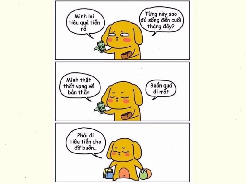 Một tấm ảnh vui nhộn giải thích meme là gì trên facebook