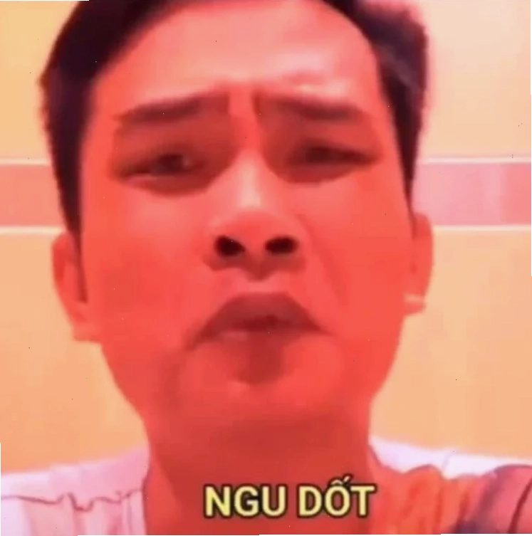 ngáo meme chó ngơ ngơ