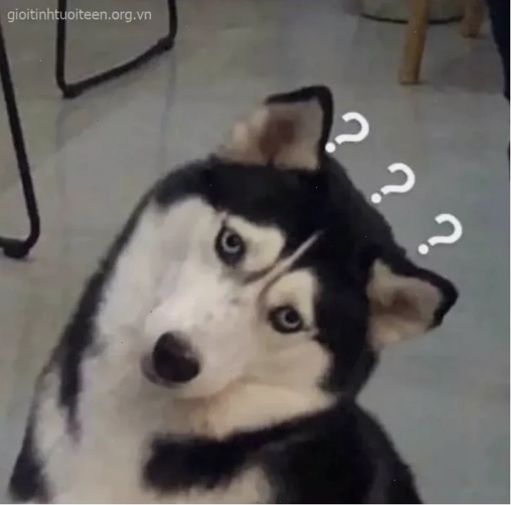 ngáo meme group chat