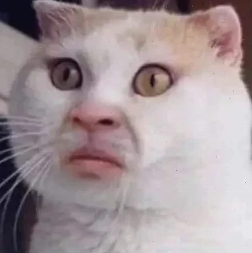 ngáo meme hành động dại