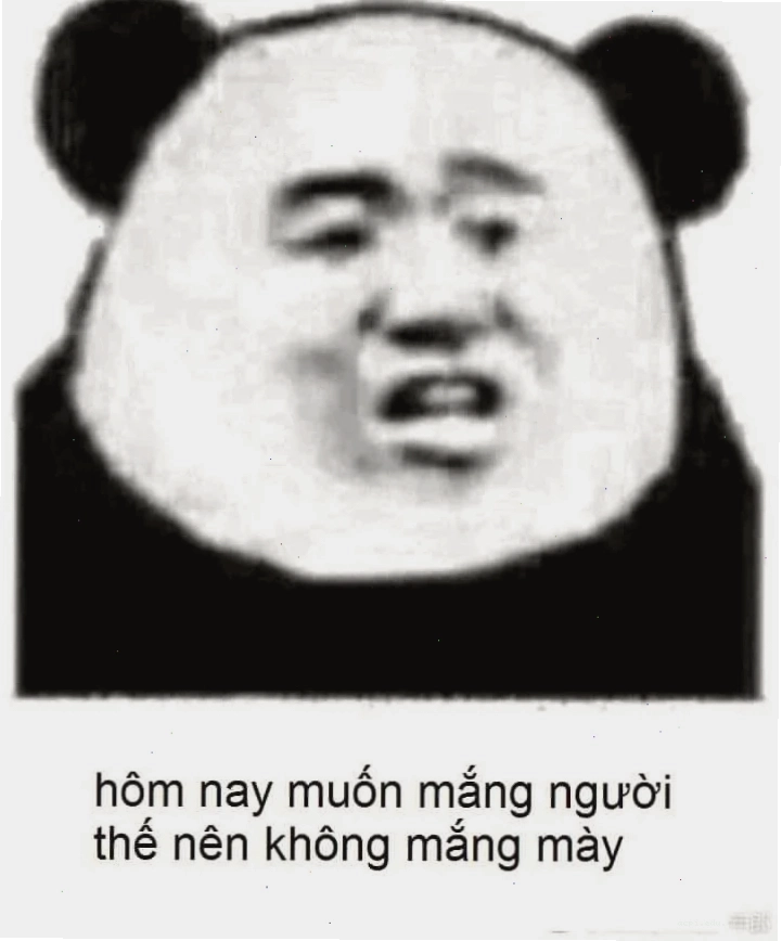 ngáo meme mèo khó hiểu