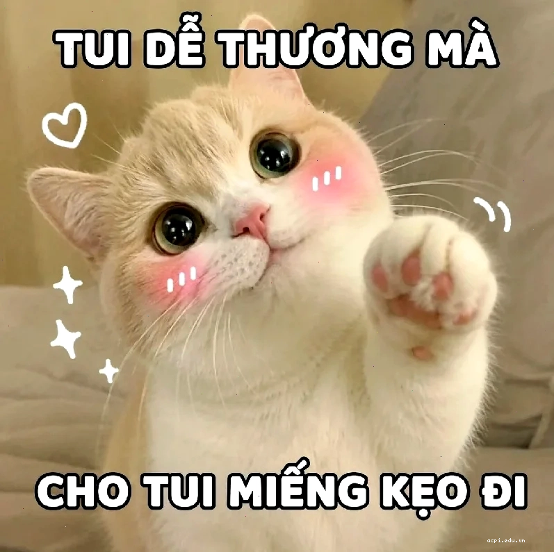 ngáo meme Naruto mặt ngu