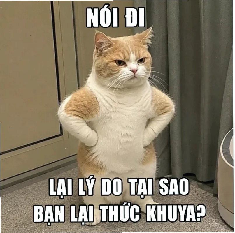 ngáo meme ngớ ngẩn