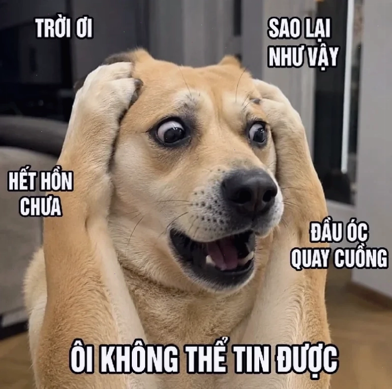 ngáo meme ngu vô thức