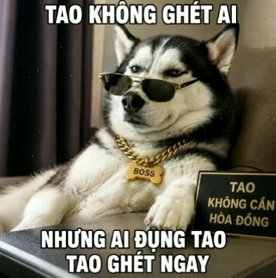 ngáo meme ủa alo