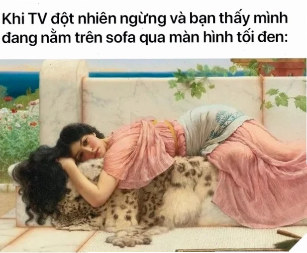 nghe vô lý nhưng lại rất thuyết phục meme cười