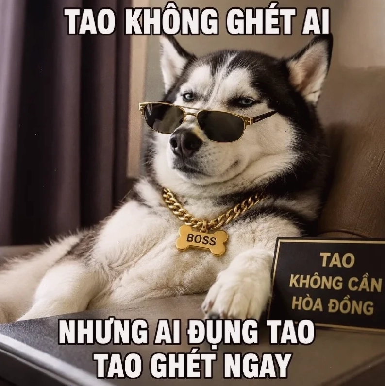 nghe vô lý nhưng lại rất thuyết phục meme độc đáo
