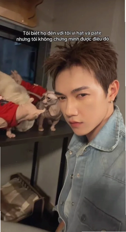 nghe vô lý nhưng lại rất thuyết phục meme hot