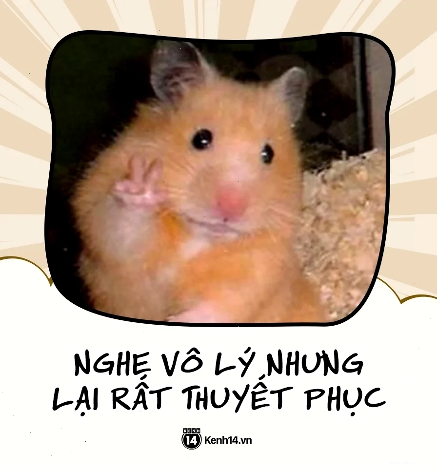 nghe vô lý nhưng lại rất thuyết phục meme tiền bạc