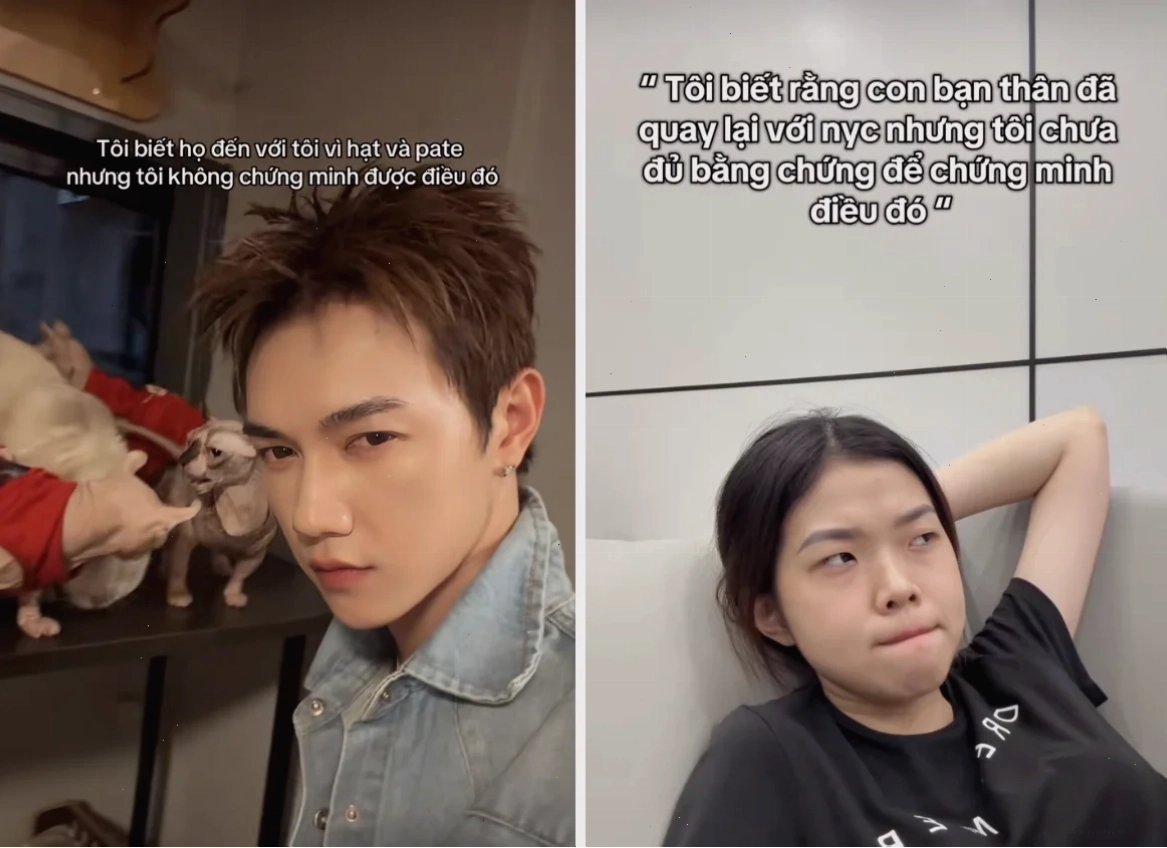 nghe vô lý nhưng lại rất thuyết phục meme toang