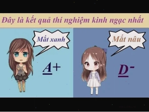 nghe vô lý nhưng lại rất thuyết phục meme vui