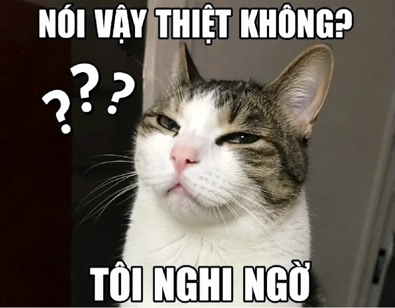 nghe vô lý nhưng lại rất thuyết phục meme vui vẻ