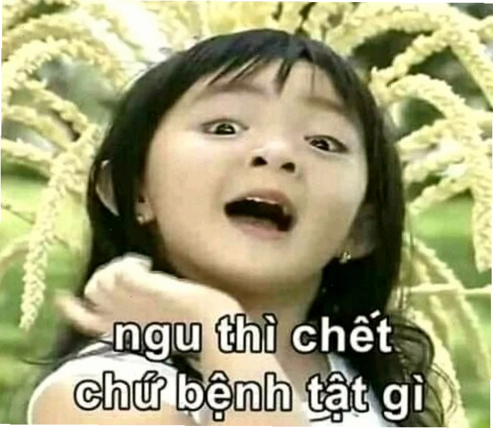 ngu meme lạ
