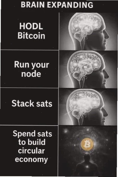 ngu meme lầy