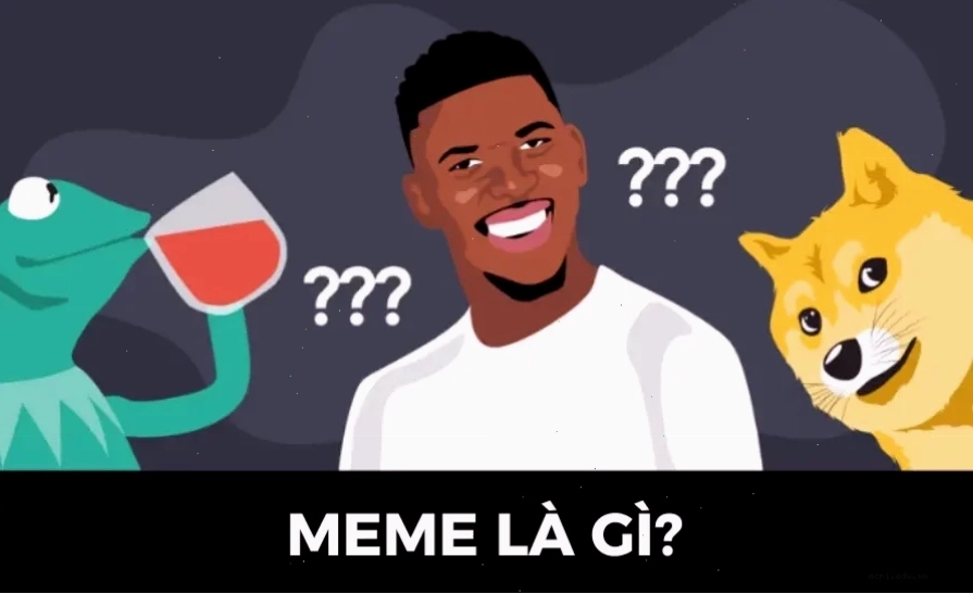 ngu meme mèo