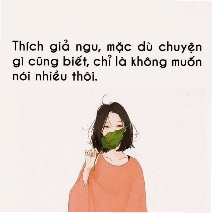 ngu meme ngủ ngon