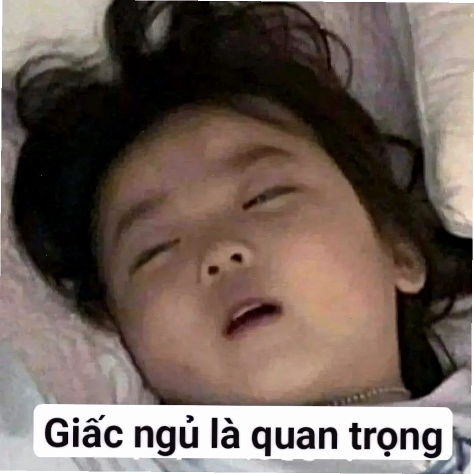 ngu meme siêu cấp