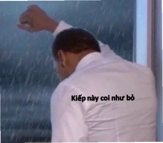 người đàn ông bất lực meme chó mèo