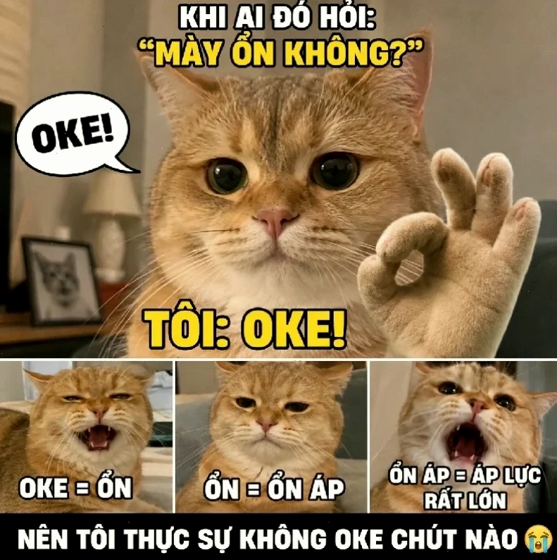 người đàn ông bất lực meme dự báo