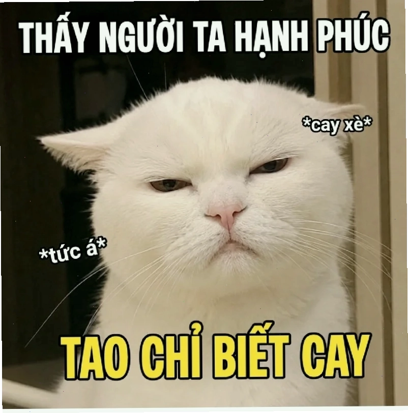 người đàn ông bất lực meme hoạt hình