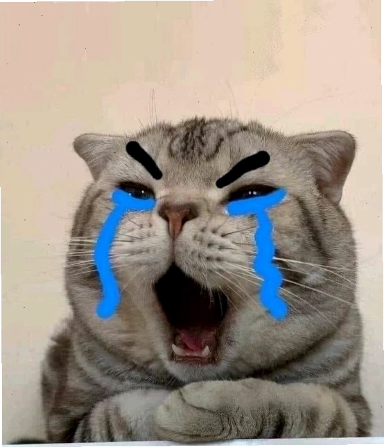 người đàn ông bất lực meme lái xe
