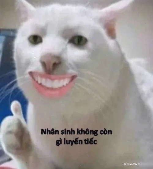 người đàn ông bất lực meme thể thao