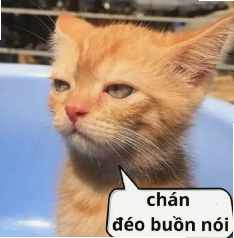 người đàn ông bất lực meme trồng cây