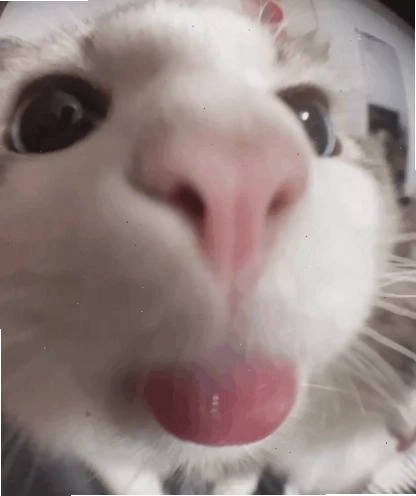 Gã đàn ông liếm tay Người đàn ông liếm tay trong meme