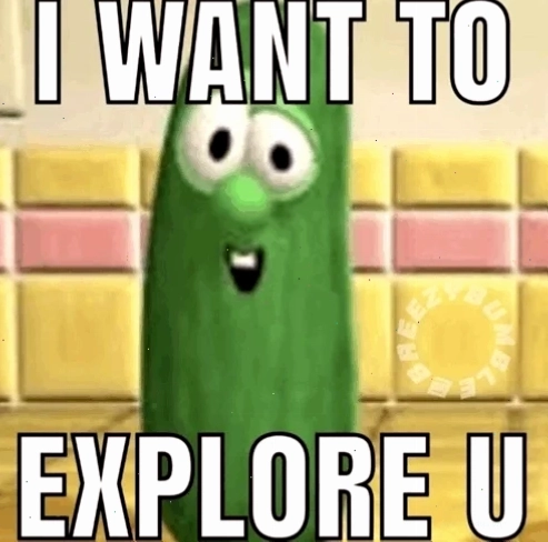 nguoi dung dang explore meme tren mang