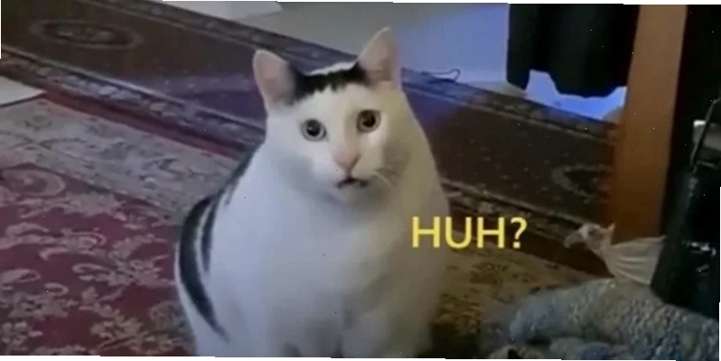 người nhà quê meme 27