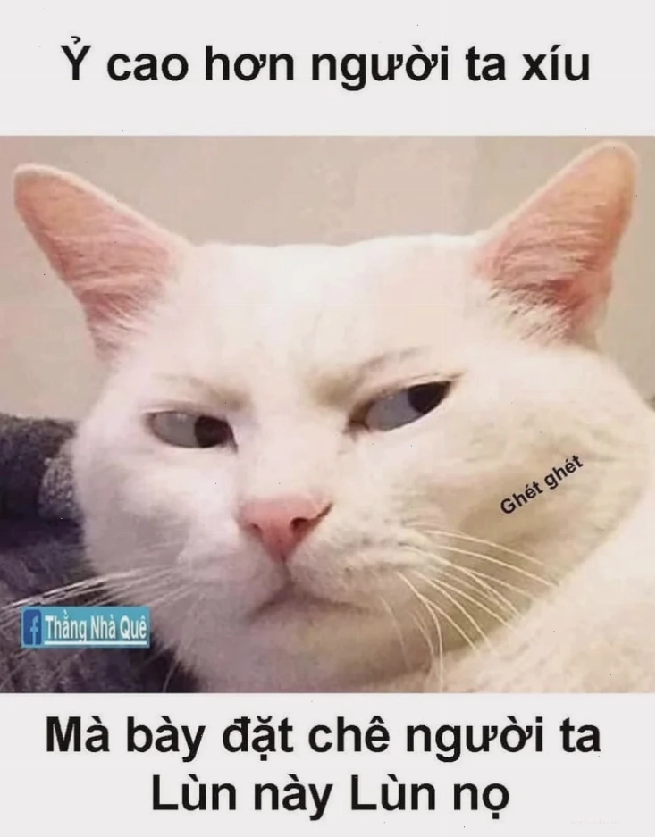 người nhà quê meme 30