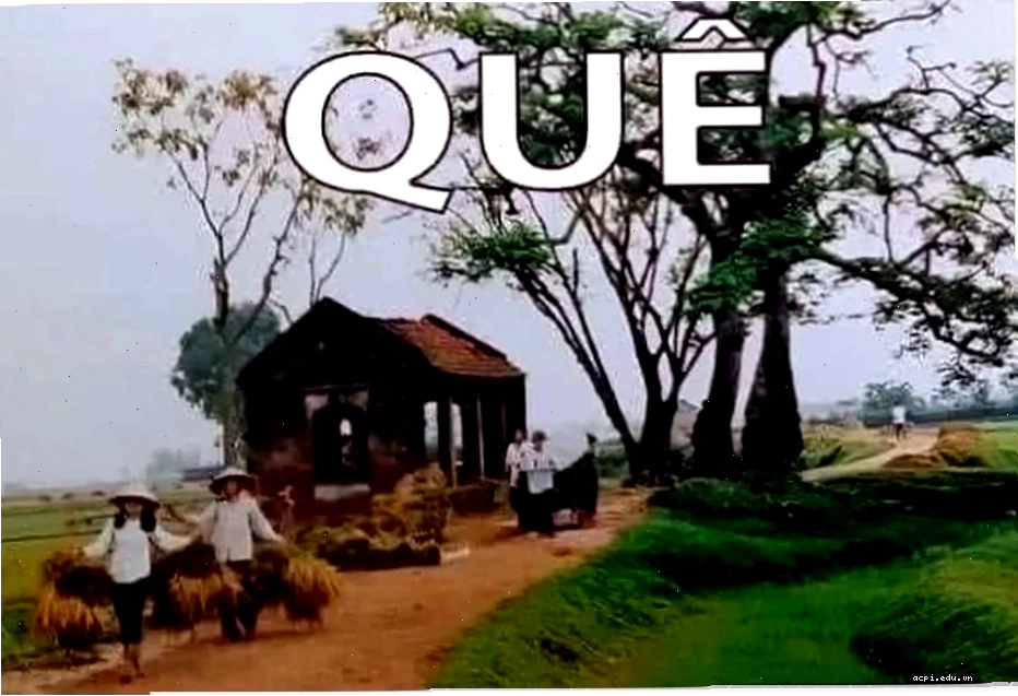 người nhà quê meme học đường