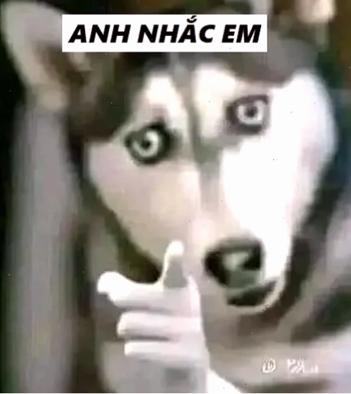 nhạc meme buồn