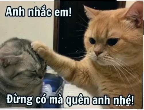 Nhạc memes cực bựa