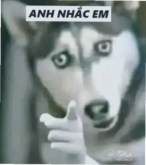 Nhạc memes party